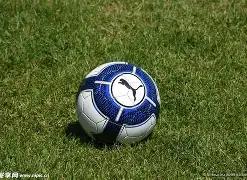 开云平台官,方网,米兰赞助商,开云体育,开云体育官网,开云体育app,开云体育平台,KAIYUN,SPORTS,kaiyun登录入口