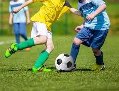 开云平台官,方网,米兰赞助商,开云体育,开云体育官网,开云体育app,开云体育平台,KAIYUN,SPORTS,kaiyun登录入口