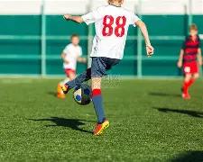 狼队换帅有,望强势逆袭,开云平台官方网ac米兰赞助商,开云体育,开云体育官网,开云体育app,开云体育平台,KAIYUN,SPORTS,kaiyun登录入口