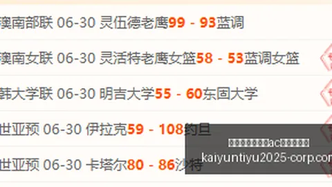 开云平台官方网，开云代理，米兰赞助商 110304